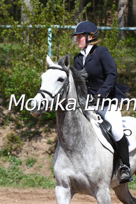 004M2118_Kalimba L_Punkte L m. Joker.JPG